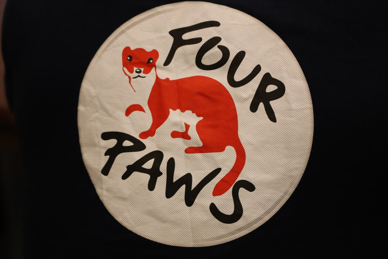 Four Paws1